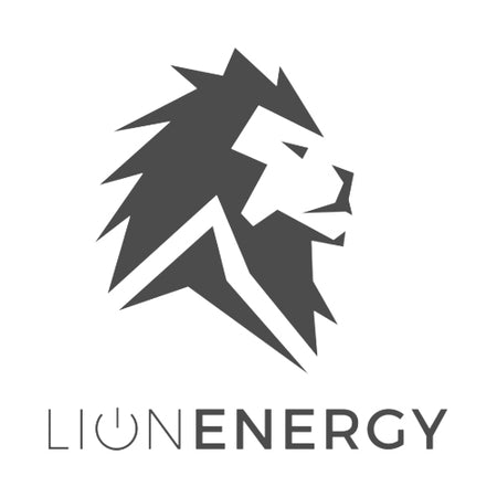 LION ENERGY